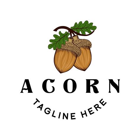 Premium Vector | Acorn vector logo design. oak leaf concept with small acorns in modern-vintage ...