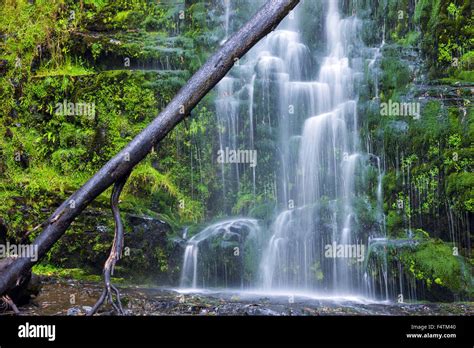 Erskine Falls, Australia, Victoria, Great Otway, national park, waterfall Stock Photo - Alamy