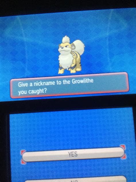 [6] Shiny Growlithe after 62 DexNav encounters! : r/ShinyPokemon