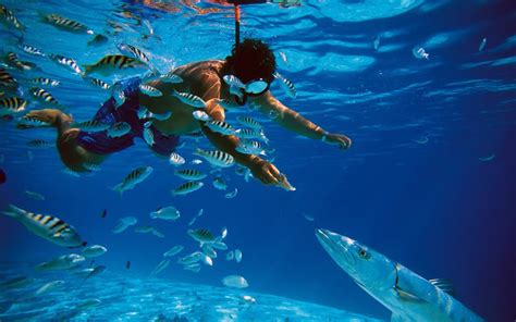 Cancun Snorkeling Riviera Maya | Cancun Transportations