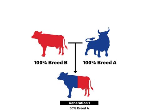 Defining Breed Purity - Lactanet