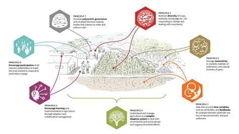 How are Agroecological Farmers Challenging the Industrial Way of Farming?