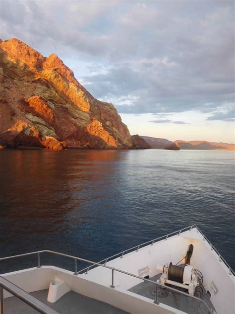 Sea of Cortez Trip Report - Channel Islands Dive Adventures