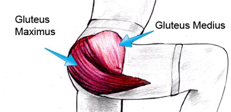 How to Relieve Glute Muscle Pain - Low Back Pain Program