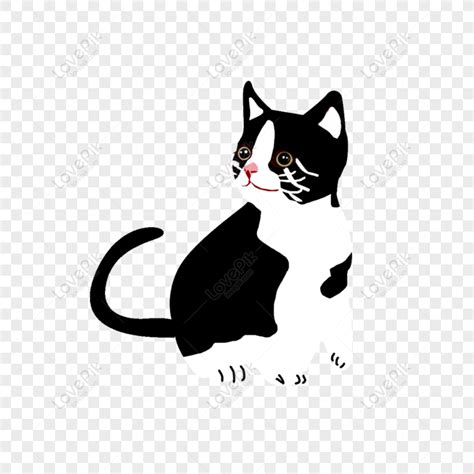 Gambar Kucing Hitam Putih – pulp