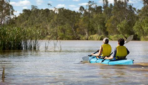 Pin on Exploring the River Murray in SA's Riverland