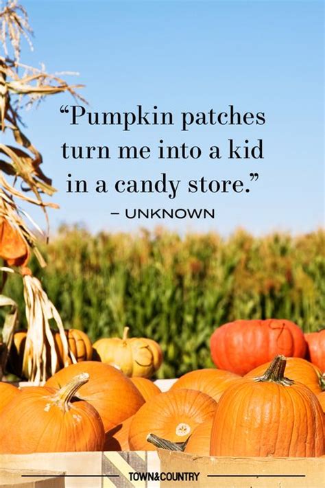 14 Pumpkin Patch Quotes for Fall - Best Pumpkin Quotes to Celebrate Autumn