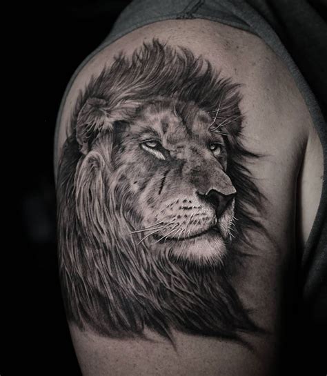 Lion Portrait