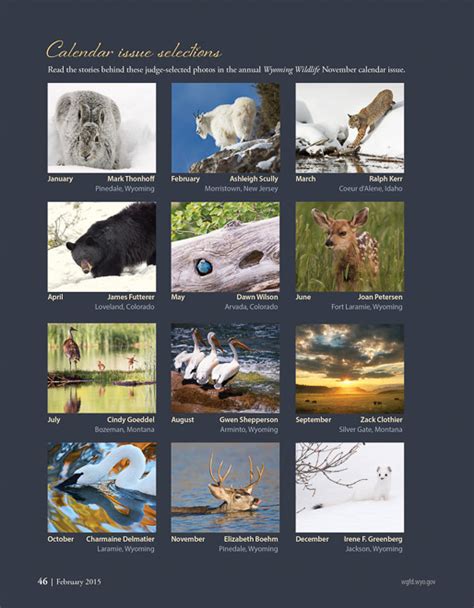 SandhIll Cranes Wyoming Wildlife 2016 Calendar | Cindy Goeddel ...