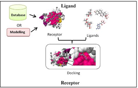 An Approach of Computer-Aided Drug Design (CADD) Tools for In Silico ...