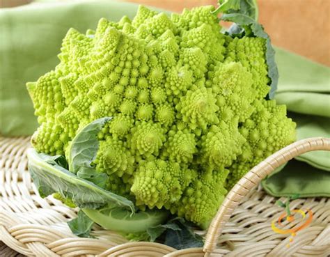 Broccoli Varieties, Types of Broccoli, Varieties of Broccoli