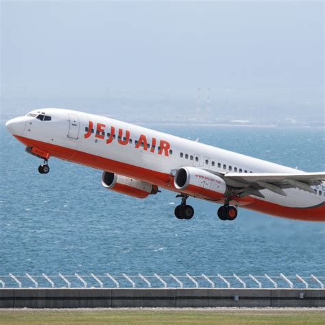 Jeju Air Flight Status 2025 Schedule - Natka Vitoria