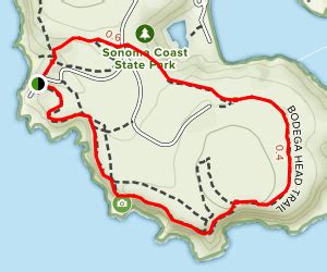 Bodega Head Trail Map | Bodega head, Trail, Sonoma coast