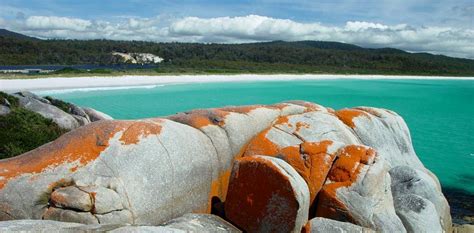 Bay Of Fires Day Tour - Tasmania | experitour.com