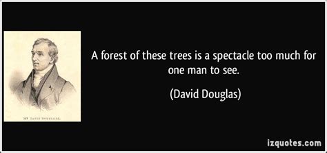 See Through Forest Trees Quotes. QuotesGram