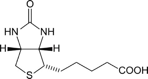 Chemical structure of biotin. | Download Scientific Diagram