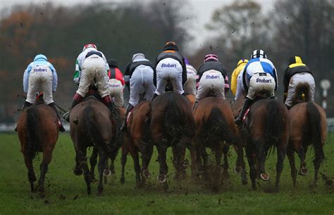 Haydock races: tips, racecards and preview for the Grand National Trial ...