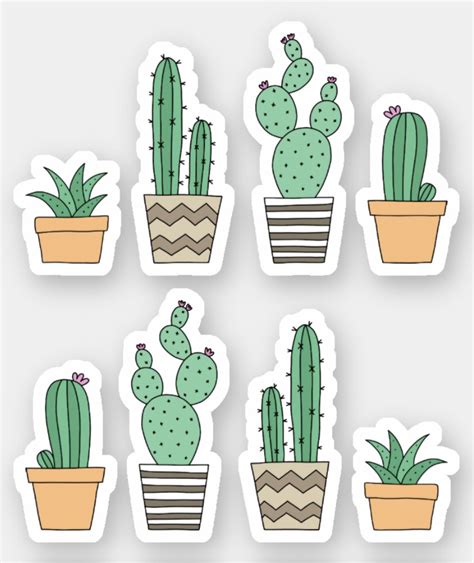 Cactus cacti succulent stickers | Zazzle.com in 2020 | Succulent stickers, Homemade stickers ...