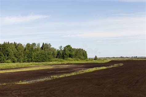 Black soil stock image. Image of field, industry, farming - 121761055