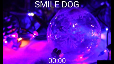 SMILE DOG - 00:00 - YouTube