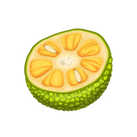 Premium Vector | Jackfruit slice cut cartoon vector illustration