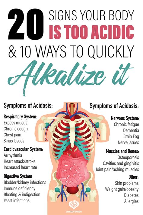 20 Signs Your Body Is Too Acidic, and 10 Ways to Quickly Alkalize It ...