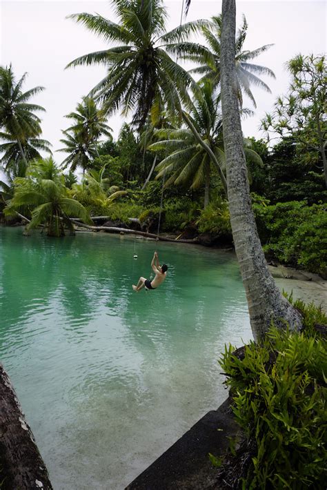 Palmyra Atoll | Gur Hevroni