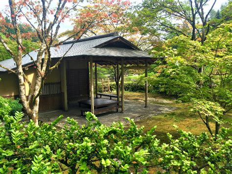 Tea Ceremony — Seattle Japanese Garden