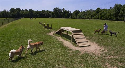 Indianapolis dog parks: Where to take your pooch for some exercise