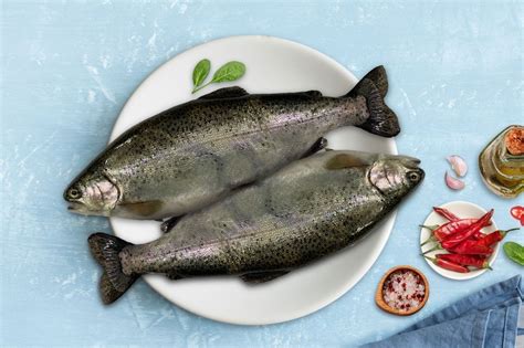 **Exclusive** Fresh Himalayan Trout : Buy online | freshtohome.com