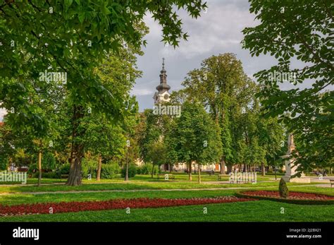 Bjelovar Cathedral of Teresa of Avila view from the central park Stock Photo - Alamy