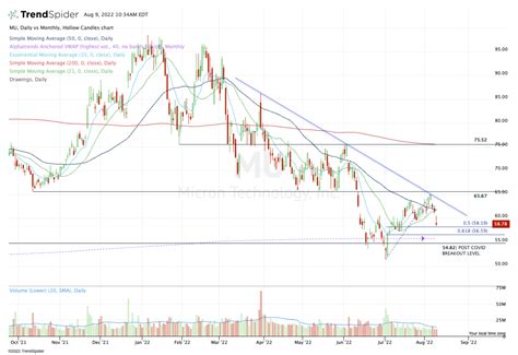 Micron and Nvidia: Buy or Sell After Bearish Updates? - TheStreet