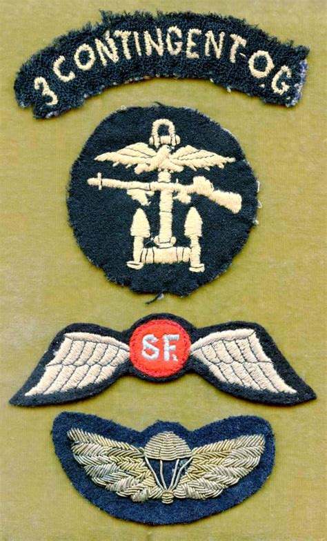 Fabulous WWII Grouping of OSS Insignia (3rd COG, UK SAS), All From One OSS Vet!: Flying Tiger ...