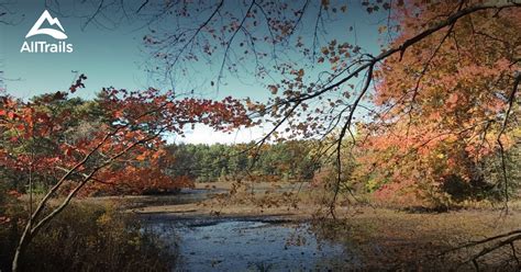 Best Trails in Myles Standish State Forest - Massachusetts | AllTrails