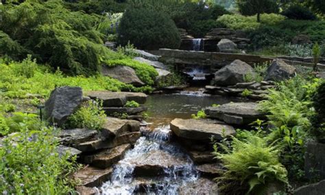 Landscaping Ideas for Backyard Creeks | Hunker