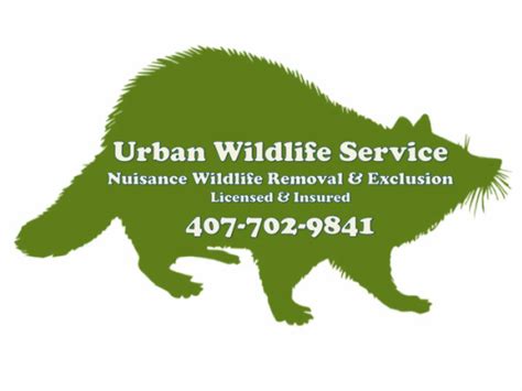 Urban Wildlife Service - Nuisance wildlife and animal control and removal in Orlando ...