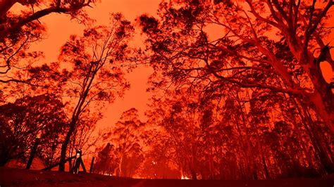 Red sky, flying embers: Australia’s fires are the first climate disaster of the decade | Grist