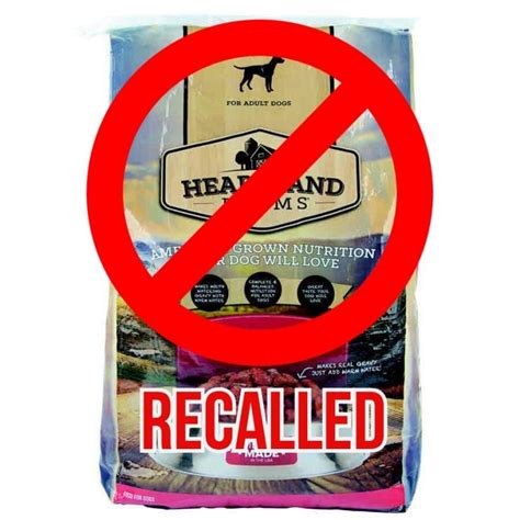 Warning! These 10 Dog Foods Have Been Recalled (2020) - PetPress