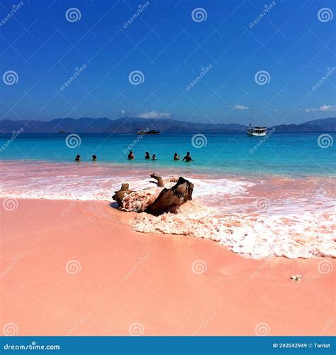 Pink Beach at Komodo National Park (Komodo Island) Stock Image - Image of pink, asia: 292042949