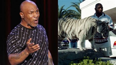 Mike Tyson Tiger Picture - Mike tyson walking his tiger, 90's. - Quarter Wallpaper