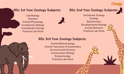 The Ultimate Guide to BSc Zoology 2024: Eligibility & Scope