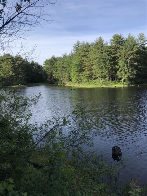 GREAT BAY NATIONAL WILDLIFE REFUGE - 16 Photos - Hiking - 100 Merrimac St, Newington, NH - Phone ...