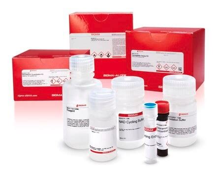 Dnase | Sigma-Aldrich