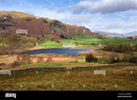 Lingmoor fell autumn hi-res stock photography and images - Alamy