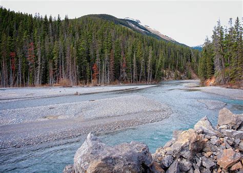 North Saskatchewan River Photograph by Catherine Reading - Pixels