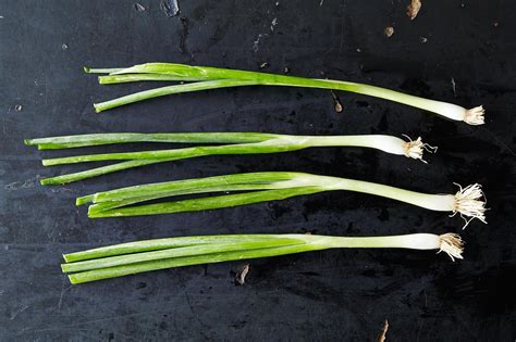 Scallions and 4 Ways to Use Them | Scallion, Onion, Seasonal cooking