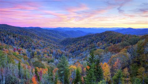 5 Great Ways To See Peak Foliage in the Smoky Mountains: Smoky ...