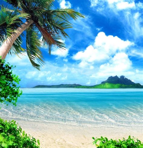 Tropical Beach Wallpapers on WallpaperDog