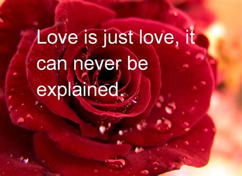 valentines day quotes 2016 -new latest pictures