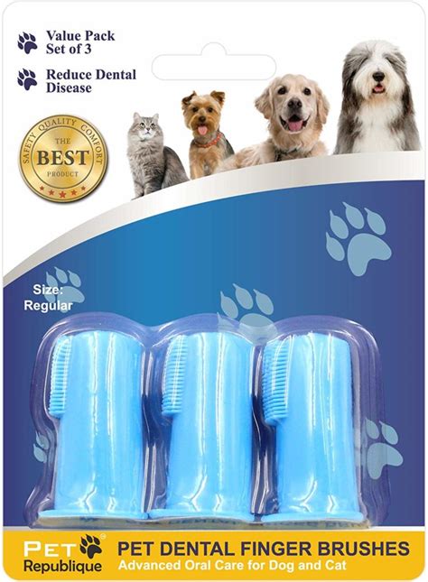 Keep Your Cat’s Teeth Clean & Healthy With These Simply Brilliant Dental Hygiene Products ...